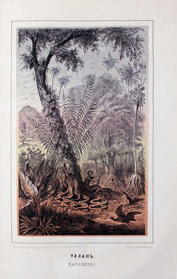 Гартвиг Г. Человек и природа на островах Великого океана / Пер. с нем. 3-е испр. изд. М., 1876.